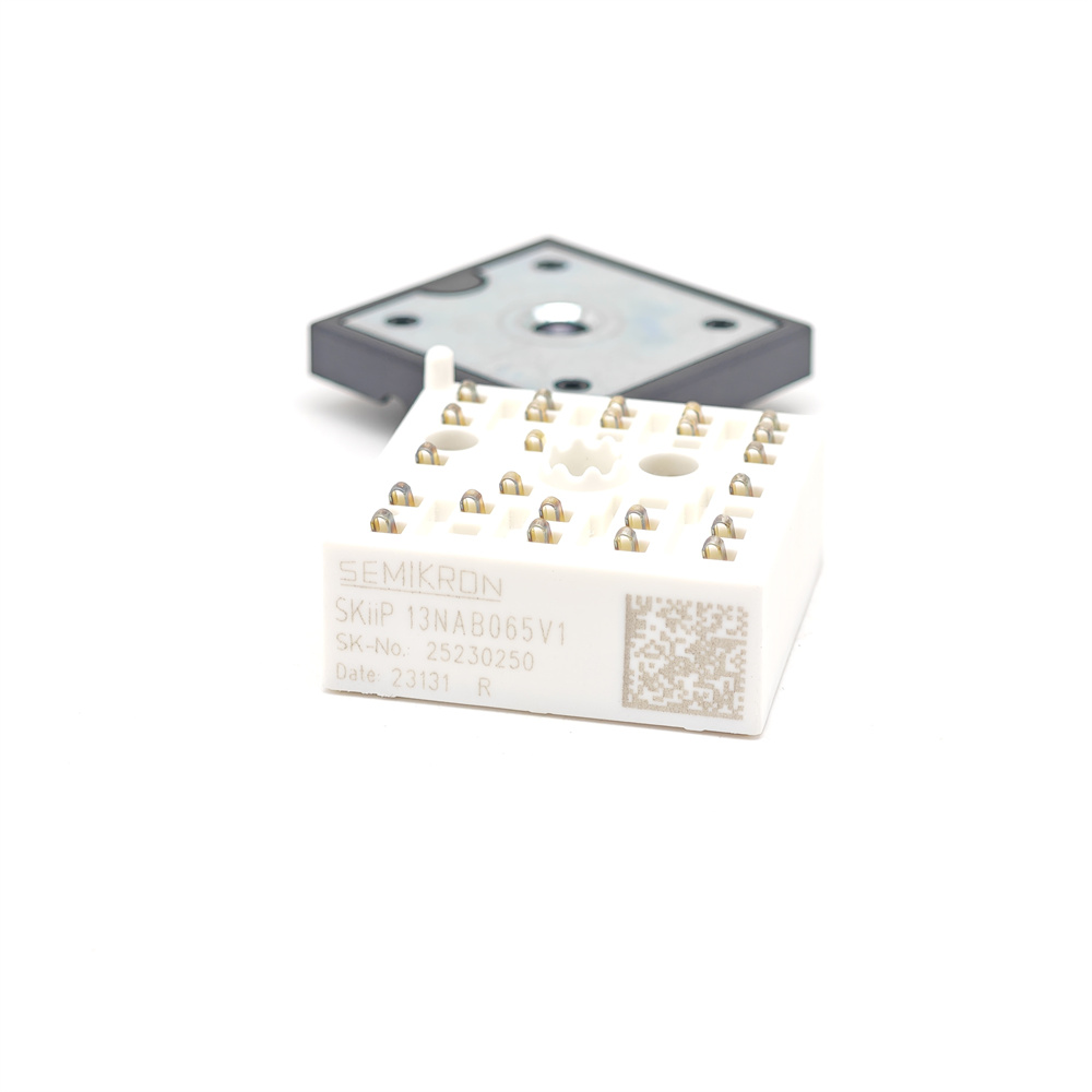 SKIIP13NAB065V1
