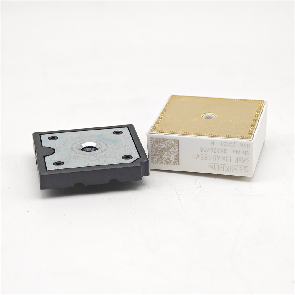 SKIIP13NAB065V1