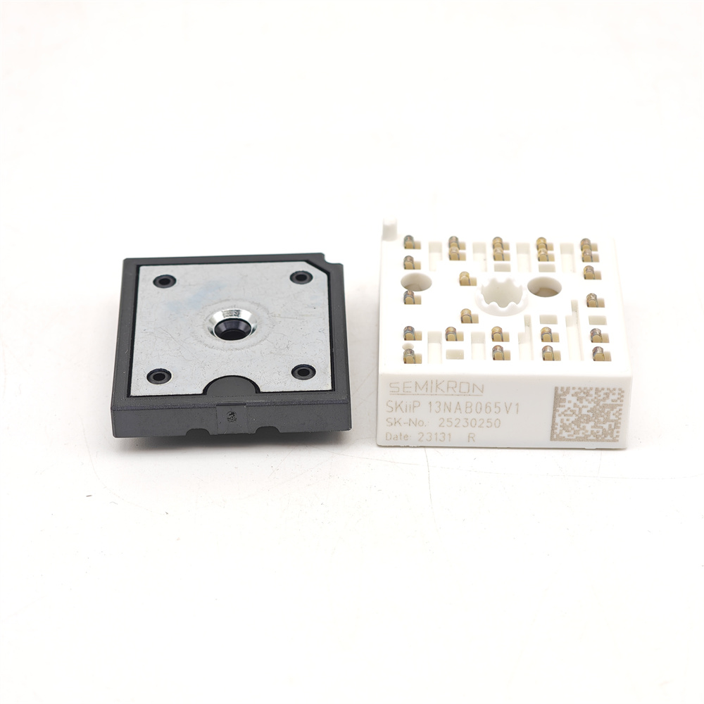 SKIIP13NAB065V1