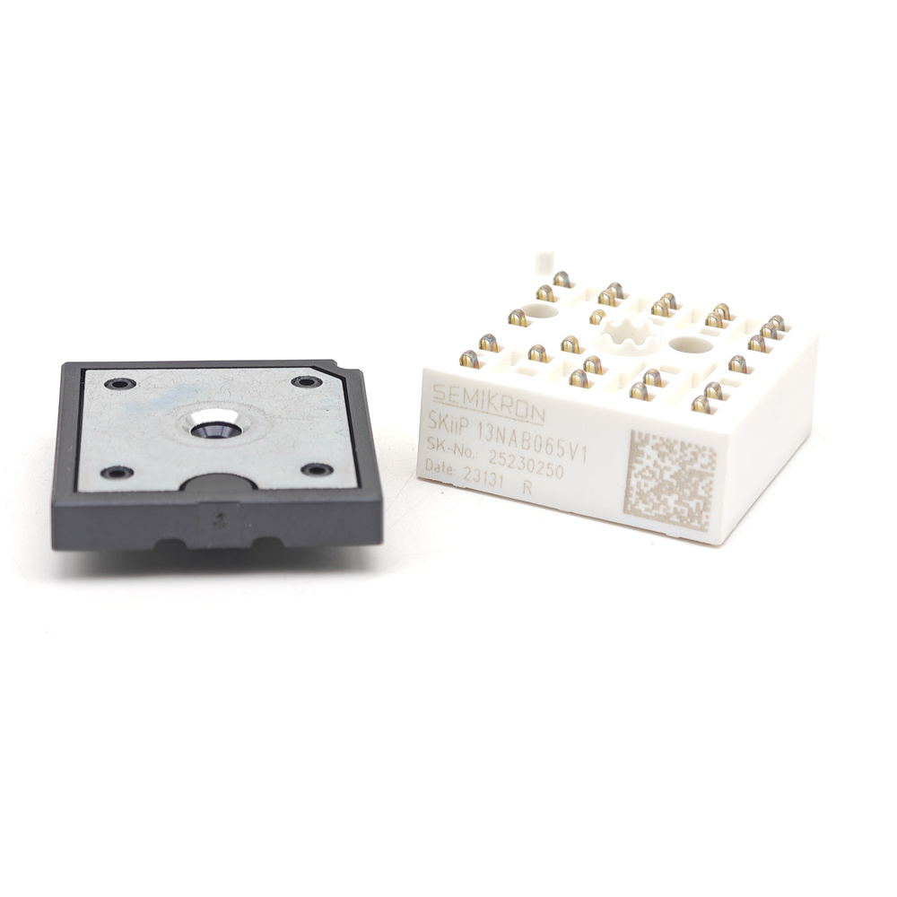 SKIIP13NAB065V1