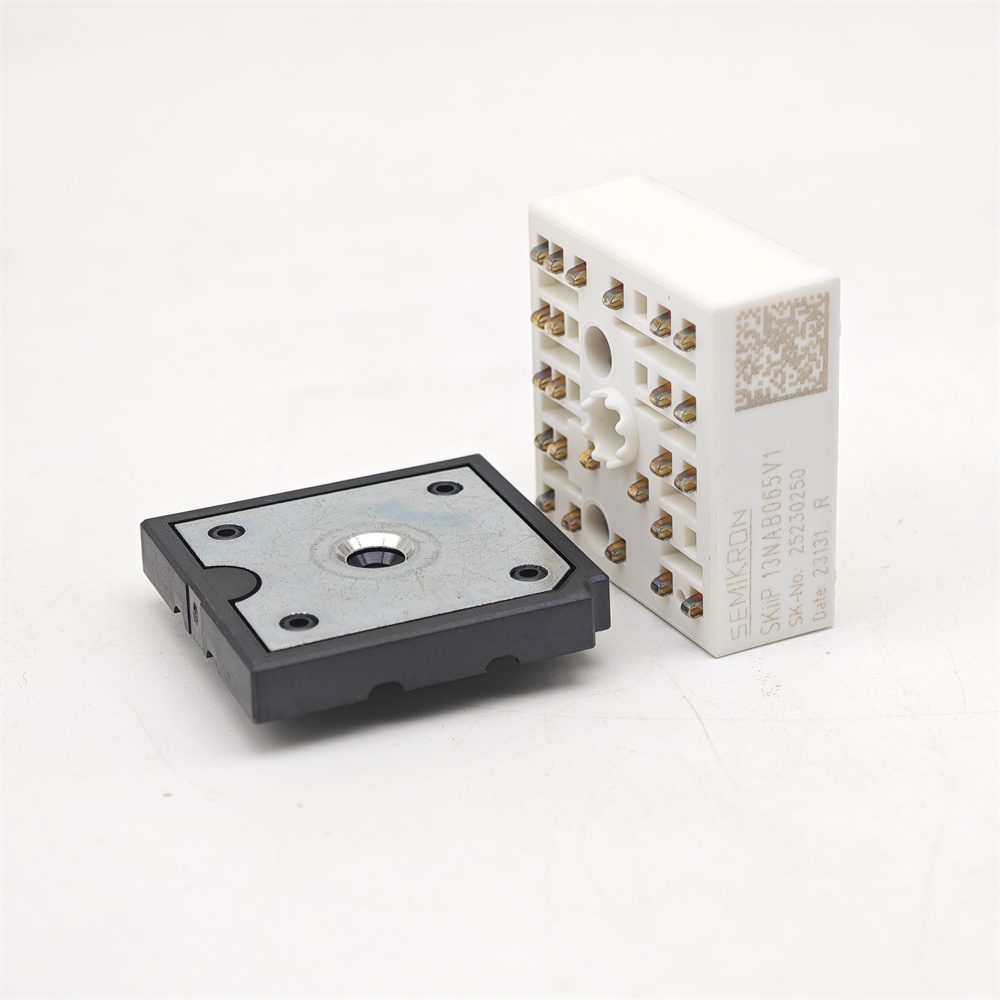 SKIIP13NAB065V1