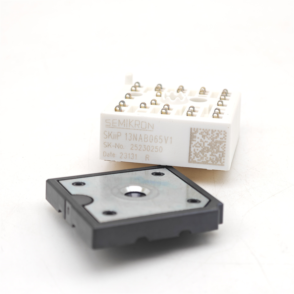 SKIIP13NAB065V1