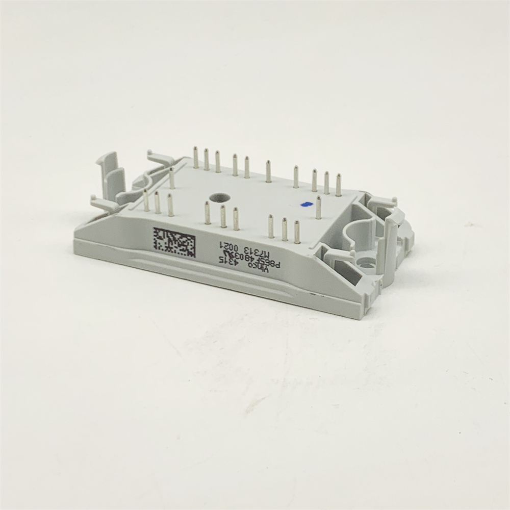 P865F4803