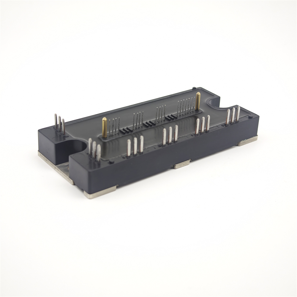 PM100RLB060