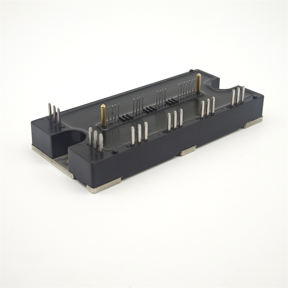 PM100RLB060