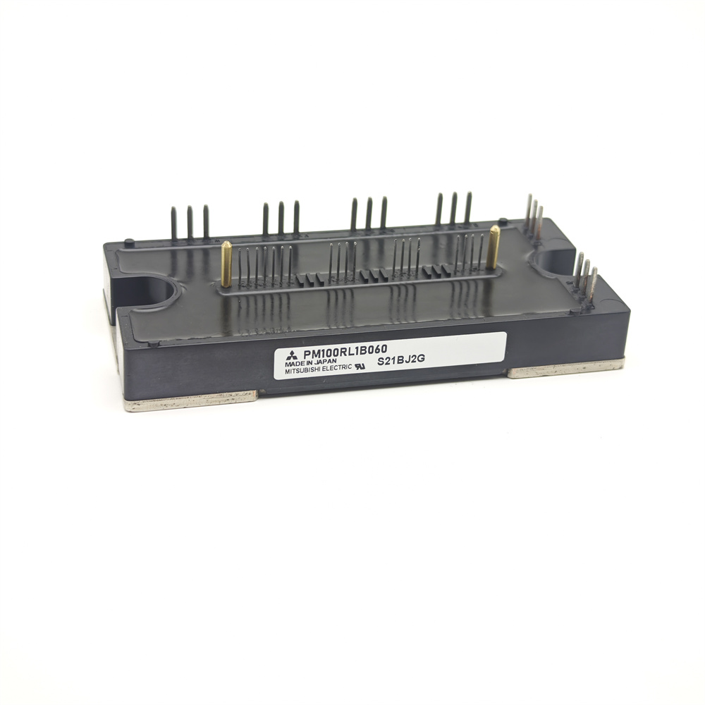 PM100RLB060